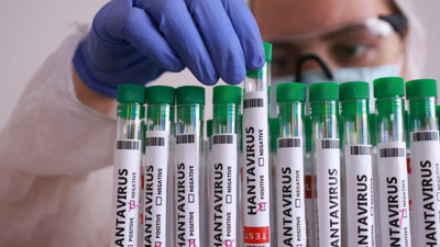 Karantinada olmaları gerekiyordu: Barda yakalandılar