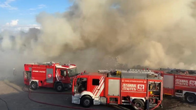 İstanbul'da hayvan barınağı yakınında korkutan yangın