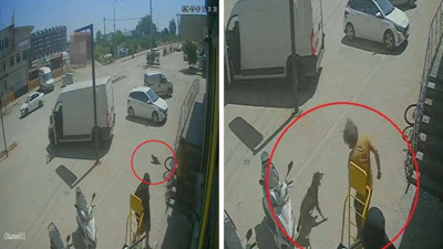 Dehşet: Kediyi ezdi, köpeği tekmeledi