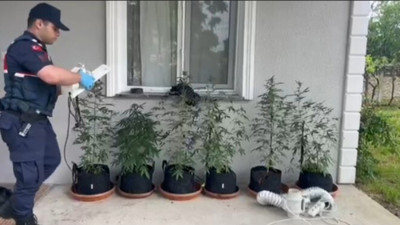 Eve kurduğu sistemle kenevir yetiştiren şüpheli yakalandı