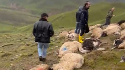 Sürüye yıldırım isabet etti: 30 koyun öldü
