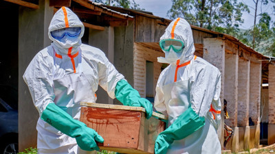 Ebola salgını yayılıyor: Tabutu böyle taşıdılar