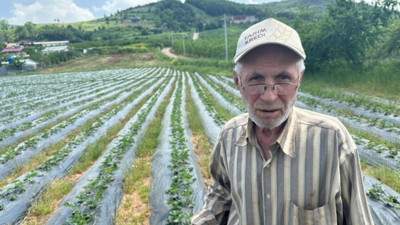 Yatırım 275 bin, beklenti 120 lira: Hasat başladı