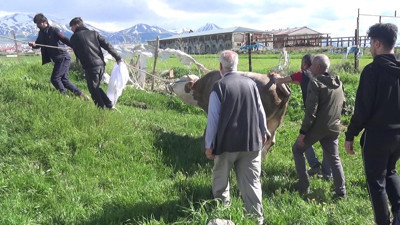 Kurban keserken hayatını kaybetti
