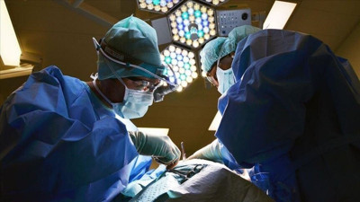 Tıp dünyasında bir ilk: Aynı anda üç domuz organı nakledildi