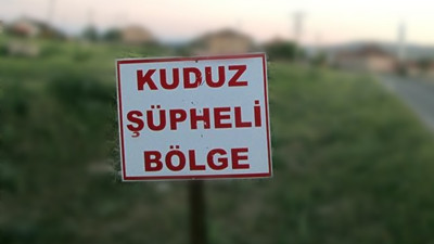 Kuduz alarmı! İlçede karantina uygulaması başladı