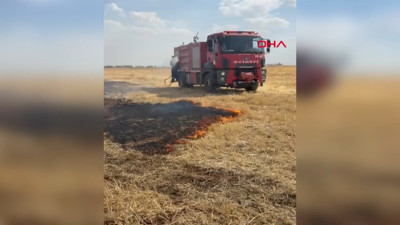 Mardin'de 8 farklı noktada anız ve bahçe yangını