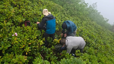 Rize'de doğa yürüyüşünde kaybolan 3 Rus turist kurtarıldı