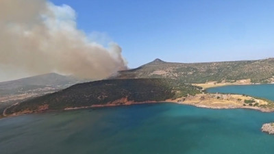 İzmir Foça'da orman yangını