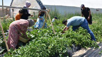 Bu otelde kalanlar ücret ödemiyor, bahçe işlerine yardım ediyor