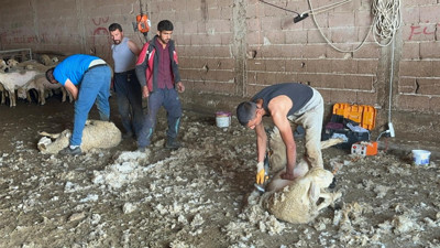 Yaz sezonu onlara yaradı: 250 bin lira maaş alıyorlar