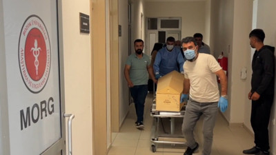 Kene bir can daha aldı