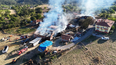 Ahır ve samanlık küle döndü, 14 büyükbaş hayvan öldü