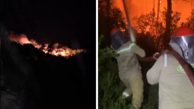 Antalya'da orman yangını: 1 işçi hastaneye kaldırıldı