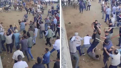 Canlı hayvan borsası savaş alanına döndü