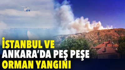 İstanbul ve Ankara'da peş peşe orman yangını