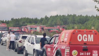 İstanbul'da ormanlık alanda yangın
