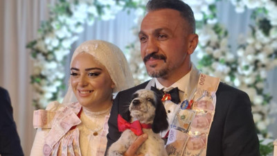 Düğünde altın yerine köpek taktı