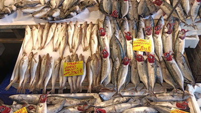 Palamutun son fiyatını gören ikişer üçer alıyor
