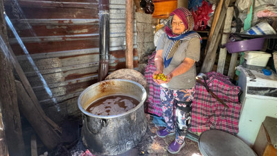Dağda yetişiyor kilosu 500 TL'den tezgaha geliyor