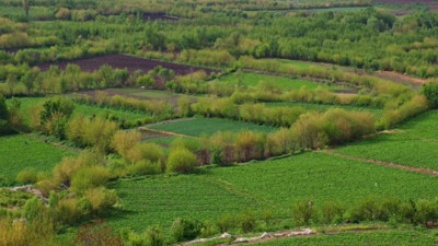 Arazisinin 6 metre altında buldu. Serveti elinin tersiyle itti