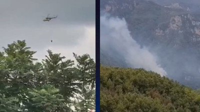 Hatay'da orman yangını