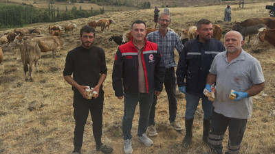 Yetiştiricilere kritik uyarı. Hayvanlarınızı açken buraya çıkarmayın