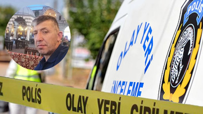 Kazada arıların saldırdığı adam öldü