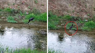 Türkiye göç yolunda ama görmek kolay değil. Bakın nerede ortaya çıktı