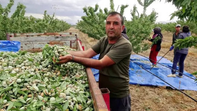 Hobi diye başladı, geçimini sağladığı üretime dönüştü: Şimdi 20 bin ağacı var