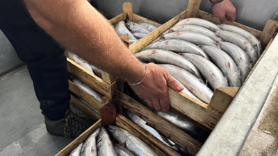 Kasası yarım kilo fiyatına düştü. Kapış kapış aldılar