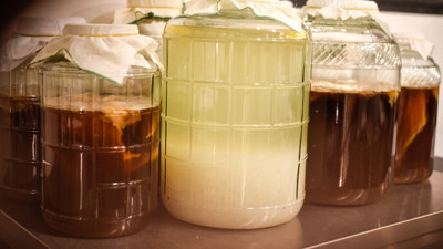 Hazır kefir ve kombucha gerçekten ne işe yarıyor?