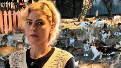 Artan yemekleri kedilere verdi, işten çıkarıldı