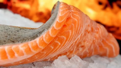 Hamsi mi somon mu? Omega-3 bakımından hangisi daha faydalı?