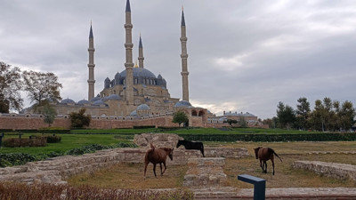 UNESCO mirası meydanda şaşırtan manzara! Atlar otladı
