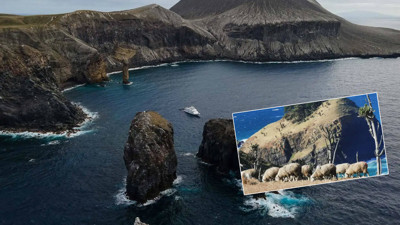 Meksika'da '100 koyun' felaketi. Adaya silahlı helikopterler gönderildi