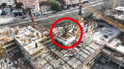 Yüzlerce yıllık ağaç inşaatın ortasında kaldı. Kazıklarla koruma altına alındı