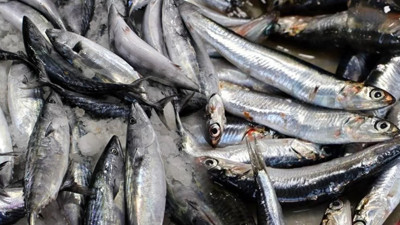 Hamsi palamutu 5'e katladı. Balık tezgahında şoke eden gerçek