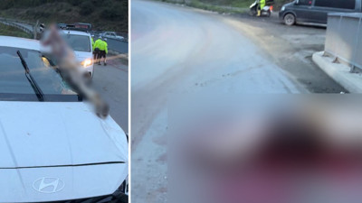 Atın kopan bacağı otomobile ok gibi saplandı