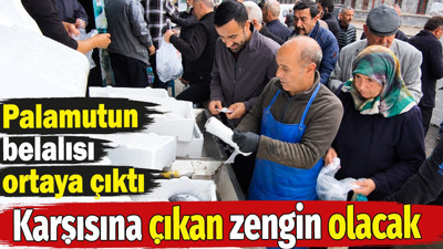 Palamutun belalısı ortaya çıktı. Karşısına çıkan zengin olacak