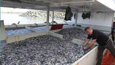 Kasım ayında alınabilecek balıklar belli oldu