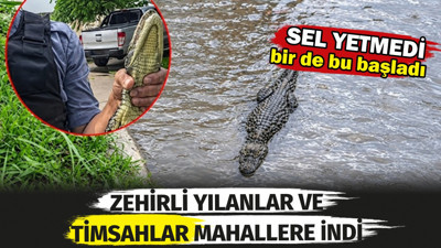 Yağmurdan sonra mahalleyi zehirli yılanlar timsahlar bastı