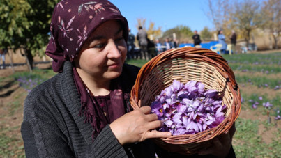 Kadın girişimci evinin bahçesinde başladı: Kilosunu 300 bin liraya satıyor