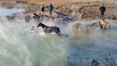 Atların eksi 15 derecede kaplıca keyfi