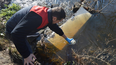 Saranlı Deresi'nde balık ölümlerine inceleme