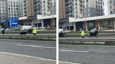 E-5'te dana trafiği