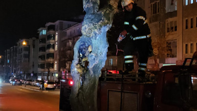 Yol kenarındaki ağaç bir anda içten yanmaya başladı