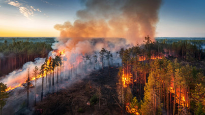İklim krizi kapımızda! Gezegenimiz alarm veriyor