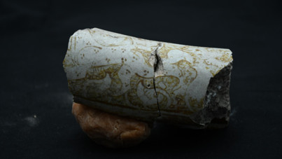 800 yıllık kapta Anadolu parsının izi bulundu