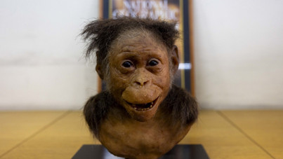 Etiyopya'da 3,2 milyon yıllık insansı fosile ilgi akını